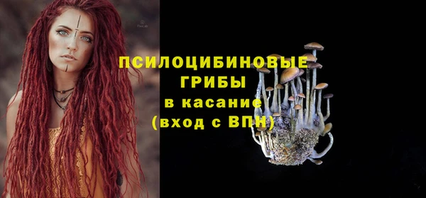прущие грибы Аркадак