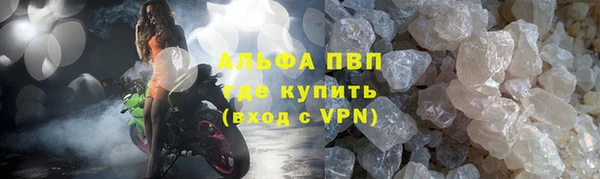 прущие грибы Аркадак