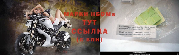 прущие грибы Аркадак