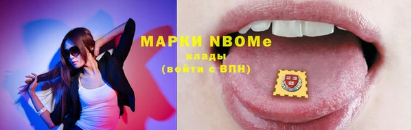 прущие грибы Аркадак