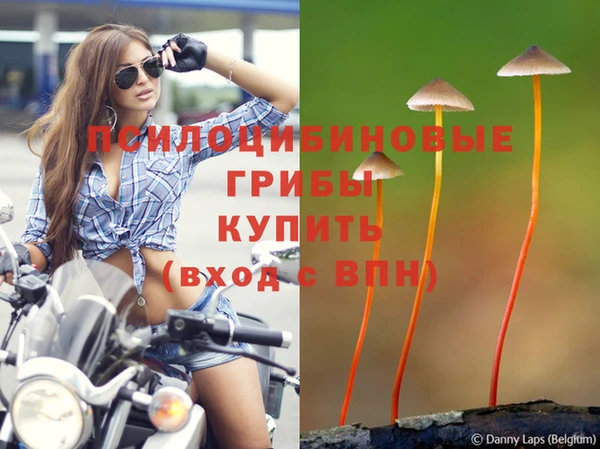 mix Армянск